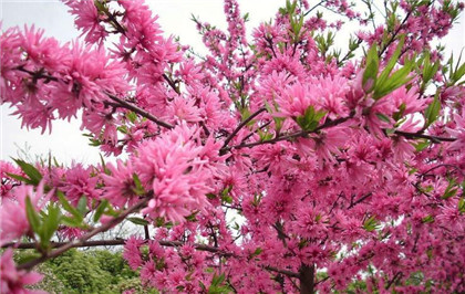 怎样才算是健康的喝酒？喝酒时不宜吃什么菜？