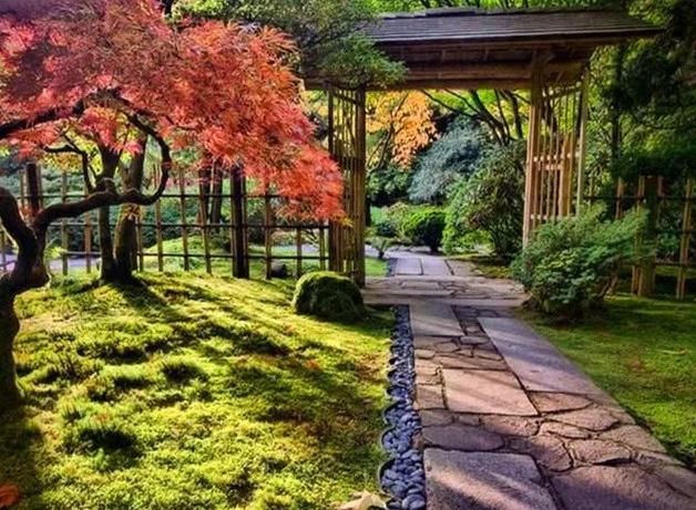 中药的7大配伍关系,相反：即两种药物合用能产生副作用