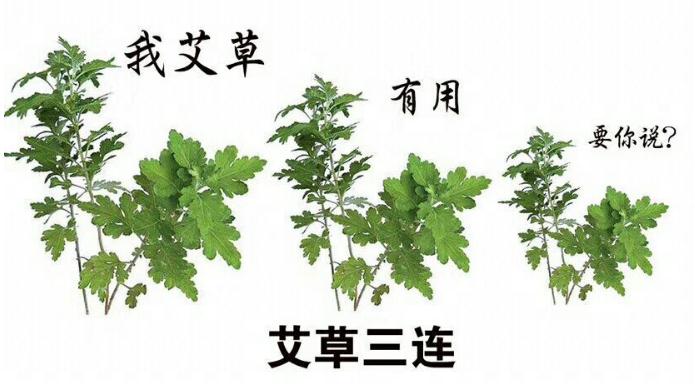 艾灸养生:  艾灸的原理、好处、副作用、注意事项？