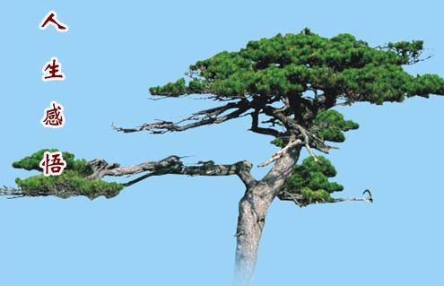 感悟人生经典语句,三贫三富不到老，十年兴败多少人