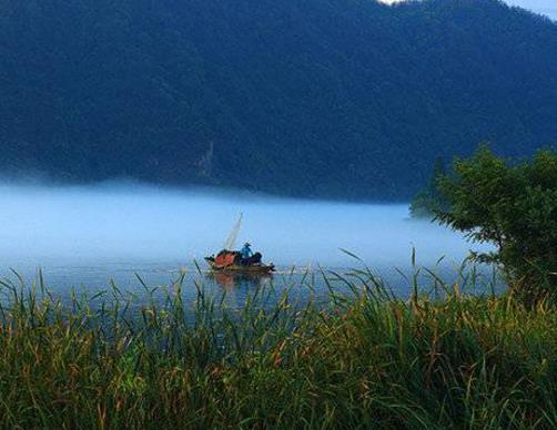 53种常用中药功效比较