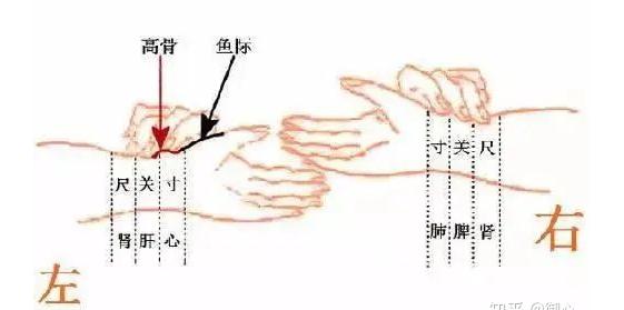 中医绝技：秘而不宣的脉诊，能预知疾病的脉象