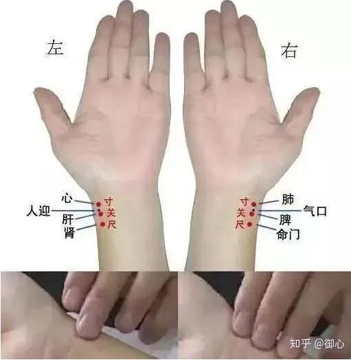 什么是正常脉象？健康人脉象有哪些特征？