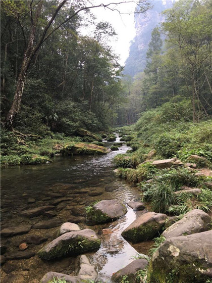 传统中医养生术-叩齿吞津 朝暮叩齿三百六，七老八十牙不落