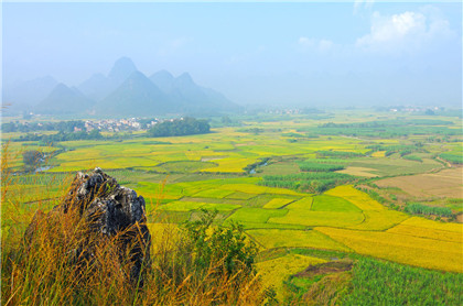 运用针灸调理人体气血，至关重要的十二个穴道