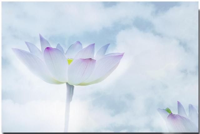 六爻退神的作用与运用