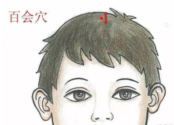 药有药性，系统阐述穴也有穴性