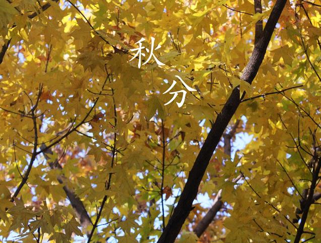 论24节气养生之秋分应该如何保健养生？