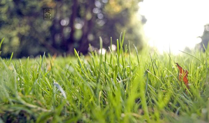 论24节气养生之处暑应该如何保健养生？