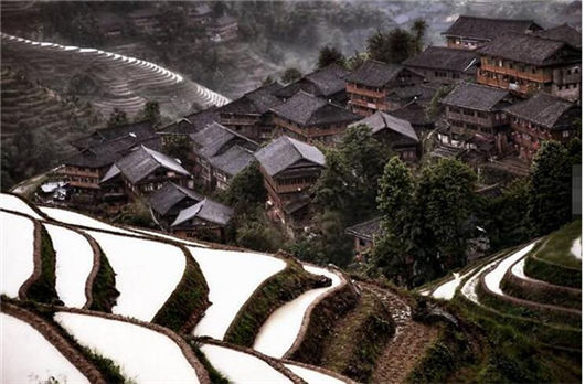 论24节气养生之芒种应该如何保健养生？