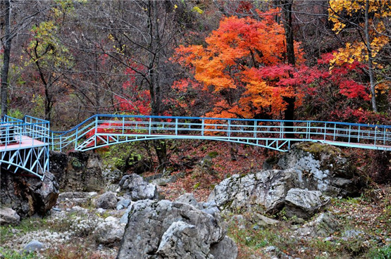 睡眠为养生第一大补：告诉你怎么睡觉最补？