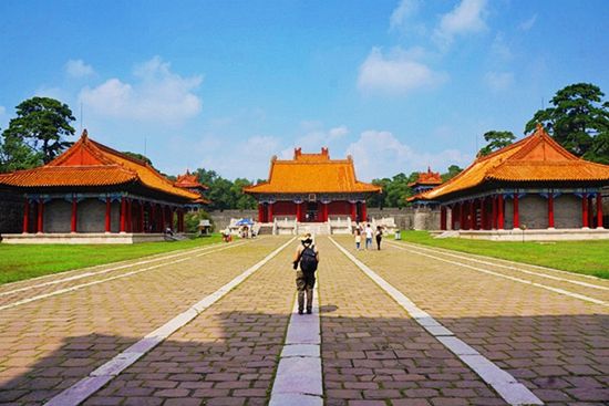 四个绝妙验方，屡试不爽,益母草配蜂蜜敷在脸可以美容