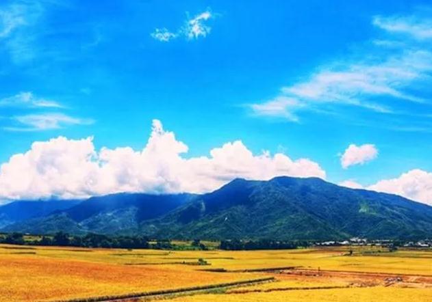 元气不足的七个表现，三大穴位保养元气