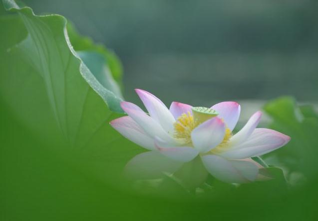 十个“一分钟”锻炼身体方法　让你长寿不是梦