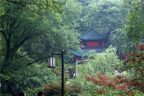 二十四节气采气法 养生之道，以静为先