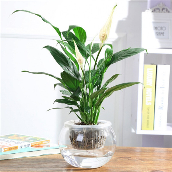 孙思邈养生十三法（耳聪目明法）