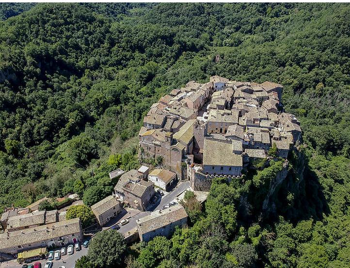 各种菜籽的药用 苦瓜籽粉降糖快，对糖尿病有食疗功效