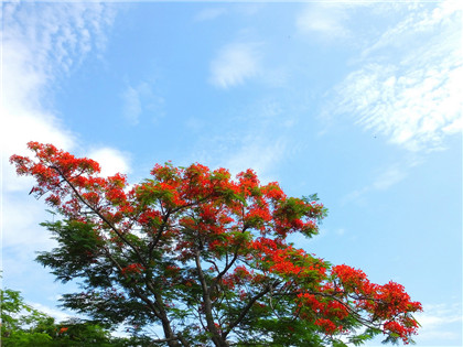 解读生命密码大病之前的先兆，突发疾病前身体上会出现的先兆