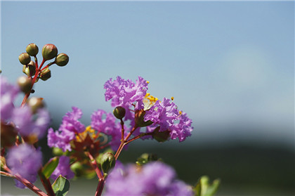 一味药治好了要拔的牙．中药治疗牙痛秘方