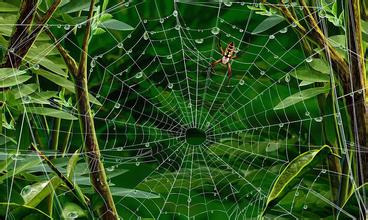 治疗老年斑的方法，一周后可见效