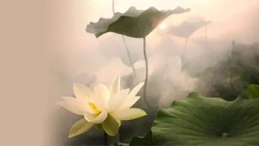 详解六爻测官运