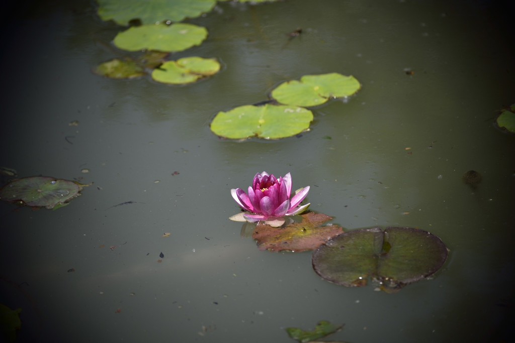 心态对做试管婴儿能否成功，真的有影响吗？