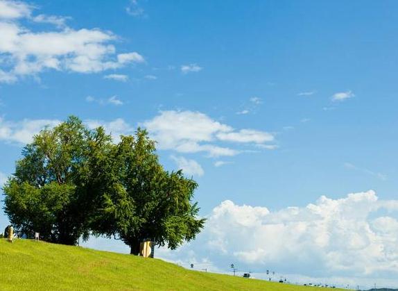 心态的好坏，取决于你心里装的是什么