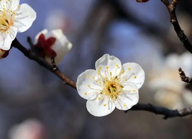 善良是一个人发自内心的美好，一善心头起，万千福报来