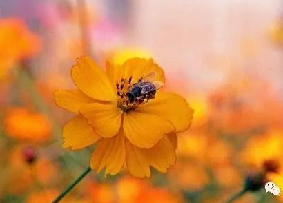 剖析女人出轨心态，教你对症下药挽回你的妻子