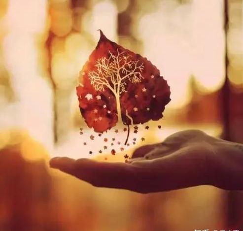 心态决定你的成败！细节决定你的高度