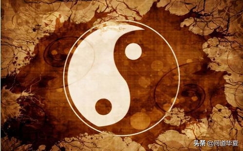 六爻测失物类象