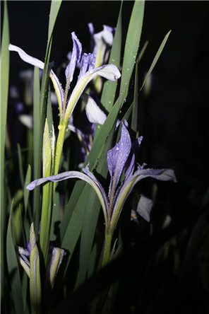 如何分辨男朋友是否有家暴倾向？