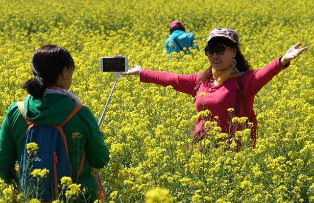 国学经典宋词【翠楼吟】原文及解析 国学经典宋词【翠楼吟】原文及解析