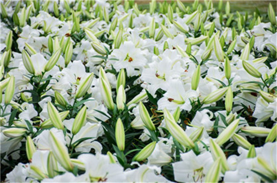 关系亲密的人之间需要说「对不起」吗？