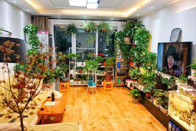 客厅养花影响住宅风水