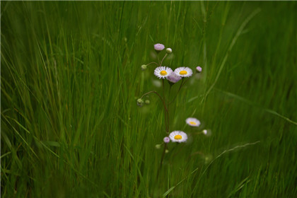 权力的游戏-论两性关系中的高地位