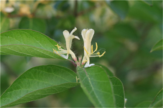 挽回感情第六课－重新建立联系