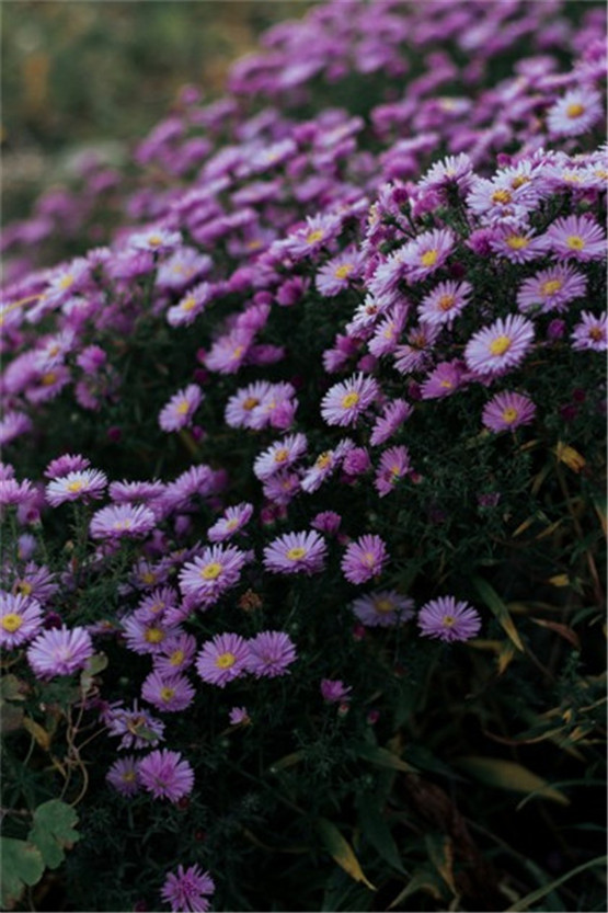 挽回感情第二课：分手中的核心矛盾