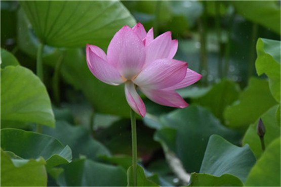 挽回感情第一课：判断分手的类型