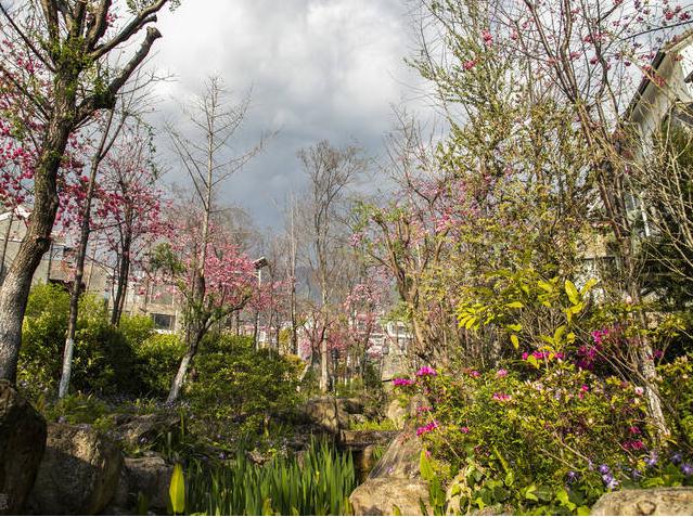 国学经典宋词【鹊桥仙】原文及解析