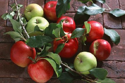 失恋常规挽回过程要经历的四个阶段