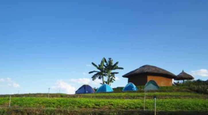 很多时候，身体有问题的人其实都有情绪问题