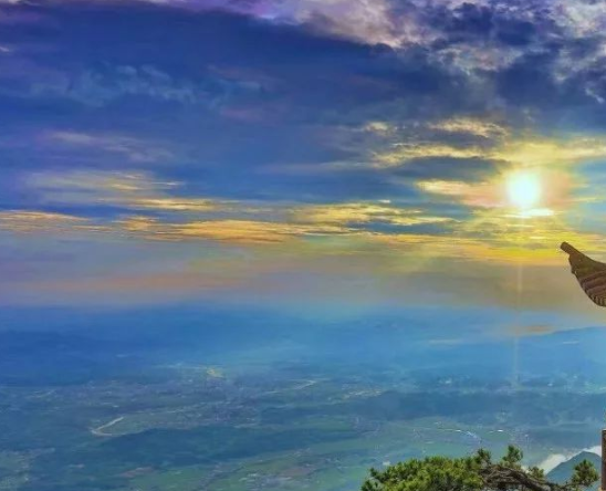 一个人真正的成熟往往是从三次低头开始的