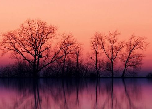 学会在痛苦中快乐