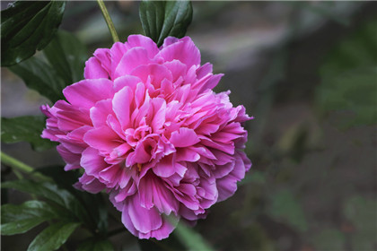 女生该如何正确暗示男朋友自己生气了