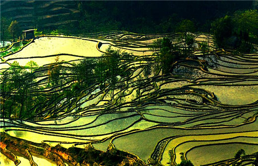 国学经典宋词【一丛花令】原文及解析