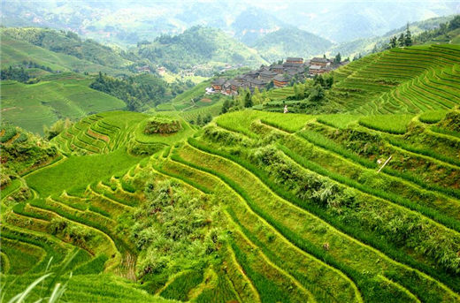 国学经典宋词【水龙吟 杨花】原文及解析