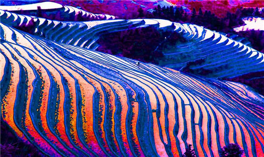 如何判断自己是否该继续冒险和牺牲来追求或挽回对方