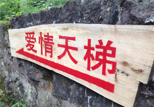 谈恋爱－放得下的是爱，放不下的是虐