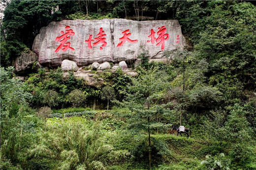 恋爱中的简单博弈